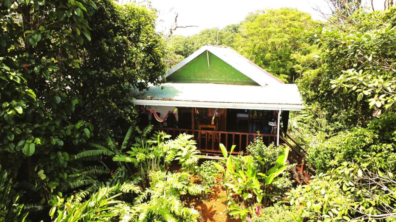 Cabana Ara Macao Lodge Drakes Bay Exterior foto