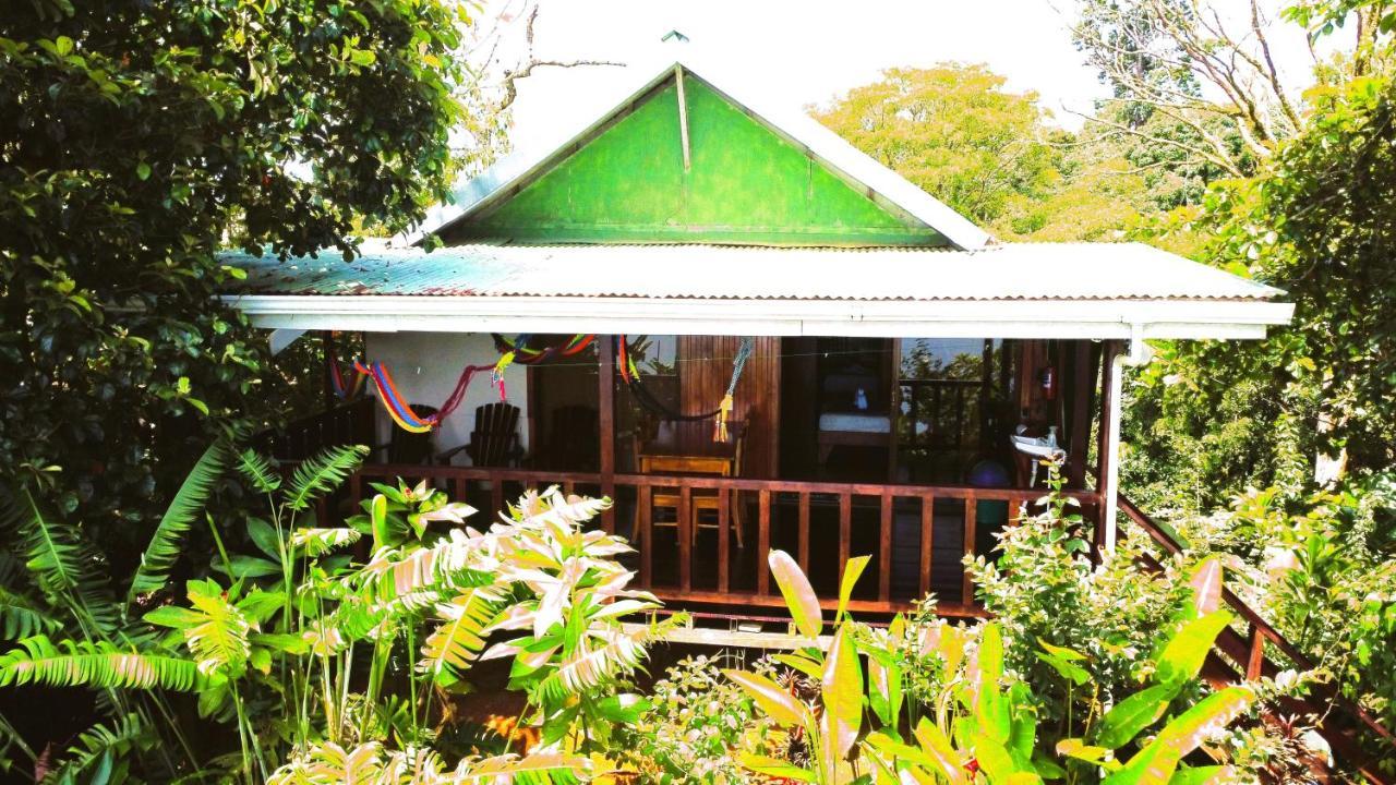 Cabana Ara Macao Lodge Drakes Bay Exterior foto